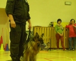 Dzien Zwierzat 02