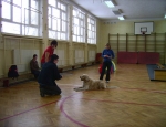 Gliwice 29