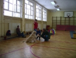 Gliwice 30