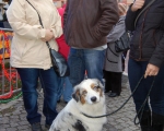Jarmark Swiateczny 03