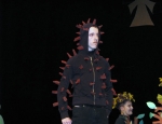 Kurtyna w gore 09