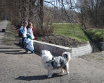 Niebieski dogtrekking - uczniowie67