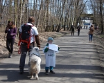 Niebieski dogtrekking - uczniowie79
