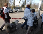 Niebieski dogtrekking - uczniowie85