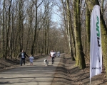 Niebieskie Zabrze 06