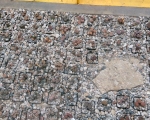 Palmiarnia 93