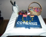 Podsumowanie projektu Comenius 30