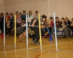Swiatowy Dzien Zwierzat 01.JPG