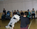Swiatowy Dzien Zwierzat 44
