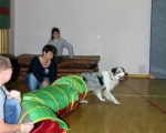 Swiatowy Dzien Zwierzat 45