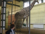 Wycieczka do ZOO 100