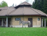 Wycieczka do ZOO 102