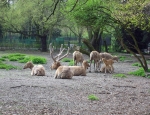 Wycieczka do ZOO 103