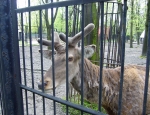 Wycieczka do ZOO 106
