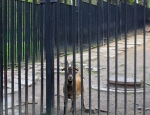 Wycieczka do ZOO 107