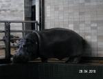 Wycieczka do ZOO 11