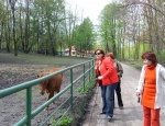 Wycieczka do ZOO 110