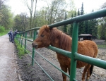 Wycieczka do ZOO 112