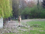 Wycieczka do ZOO 113