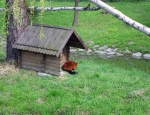 Wycieczka do ZOO 116