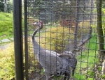 Wycieczka do ZOO 117
