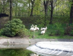 Wycieczka do ZOO 119
