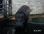 Wycieczka do ZOO 12