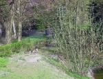 Wycieczka do ZOO 125