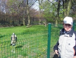 Wycieczka do ZOO 126
