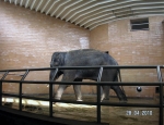 Wycieczka do ZOO 13