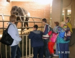 Wycieczka do ZOO 15