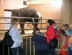 Wycieczka do ZOO 16