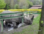 Wycieczka do ZOO 22