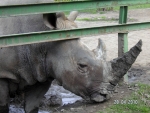 Wycieczka do ZOO