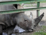 Wycieczka do ZOO 23