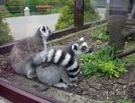 Wycieczka do ZOO 28