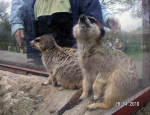 Wycieczka do ZOO 35