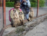 Wycieczka do ZOO 37