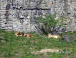 Wycieczka do ZOO 41