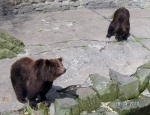 Wycieczka do ZOO 43
