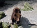 Wycieczka do ZOO 44