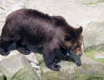 Wycieczka do ZOO 45