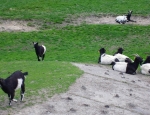 Wycieczka do ZOO 46
