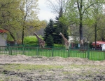 Wycieczka do ZOO 56