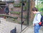 Wycieczka do ZOO 58