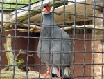 Wycieczka do ZOO 59