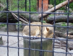 Wycieczka do ZOO 62