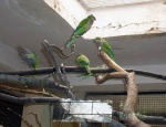 Wycieczka do ZOO 73