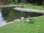 Wycieczka do ZOO 76