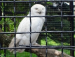Wycieczka do ZOO 78